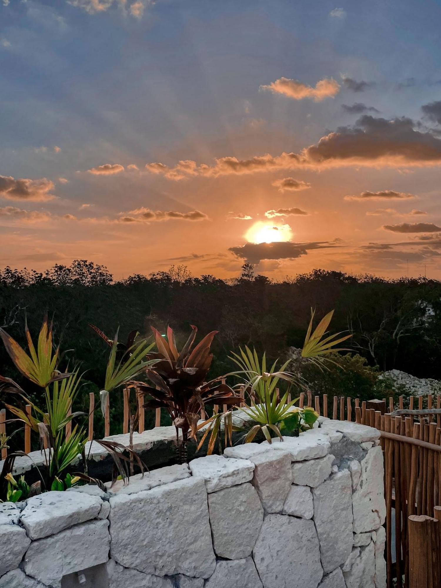 Jungle Boho Designer Apart 11 W50 Off Access Hotel Bardo Tulum Exterior photo